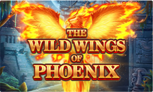 The Wild Wings of Phoenix